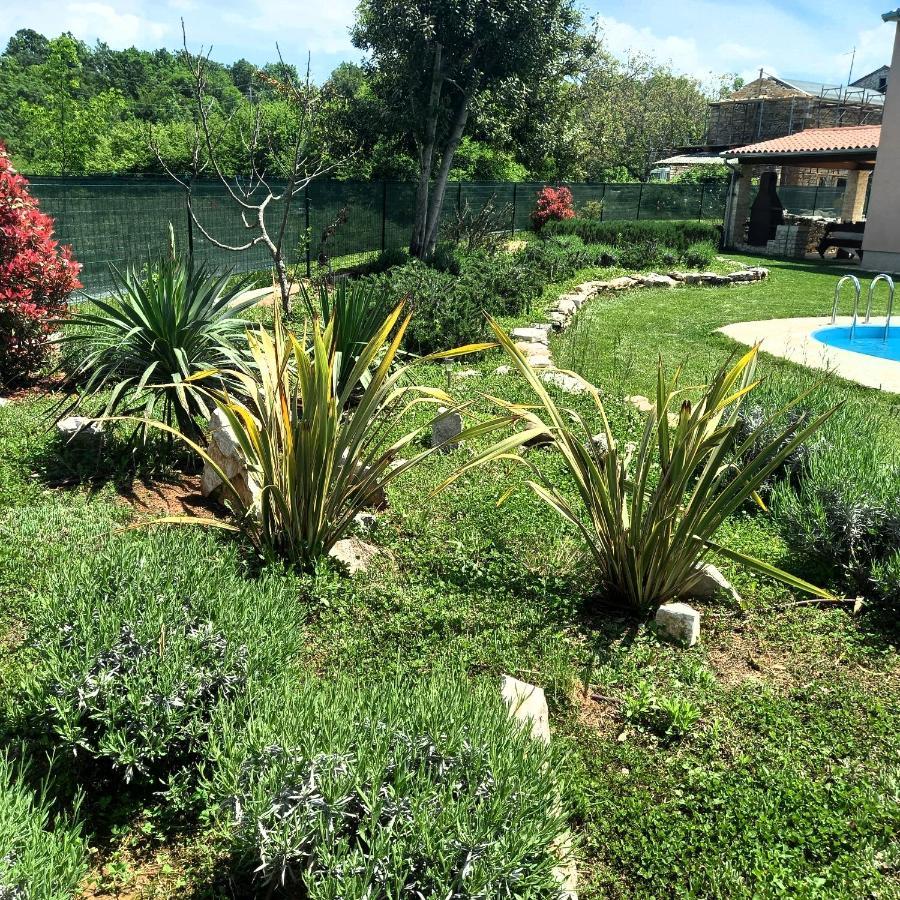 Villa Malini Groznjan Ngoại thất bức ảnh